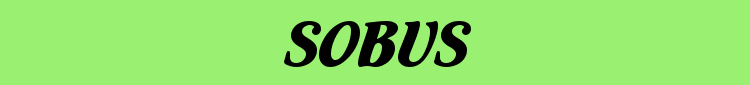 Contact Sobus Wooden Toys
